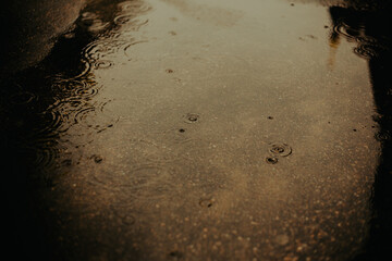 It is raining heavily in the city in the dark evening, with raindrops creating circles on the...