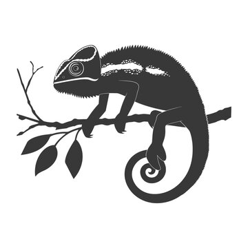 recommend clip art: Silhouette chameleon Animal black color only full body