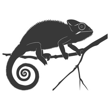 recommend clip art: Silhouette chameleon Animal black color only full body