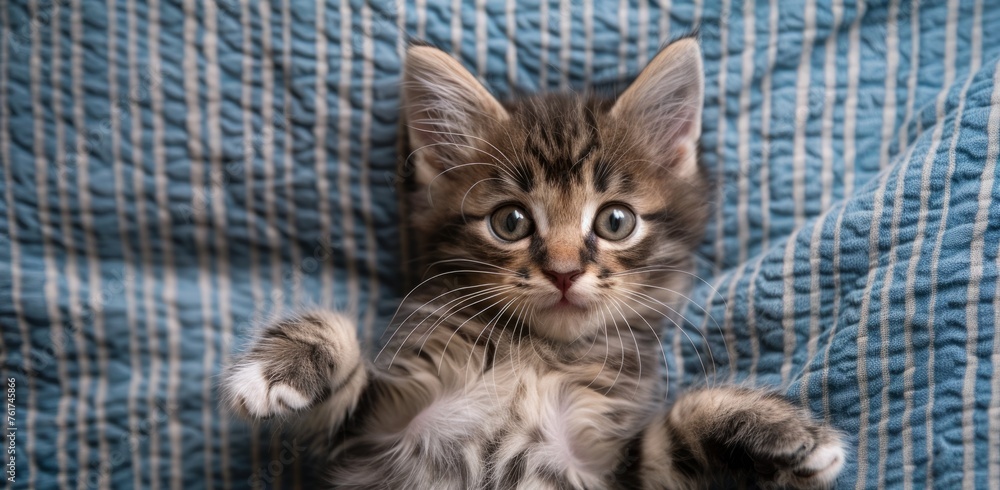Poster a playful kitten lying on its back, looking up at the camera with big eyes and paws spread out in fr