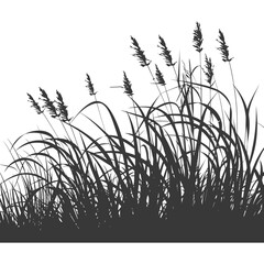 Silhouette Grass natural plant as background black color only