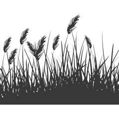 Silhouette Grass natural plant as background black color only
