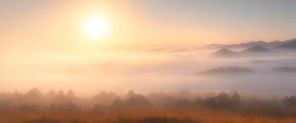 Fototapeta premium Summer background with fog in a meadow during sunrise