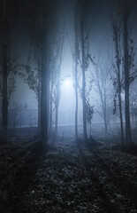 Fototapeta na wymiar A nighttime street enveloped in dense fog.