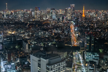 Fototapeta na wymiar view of Shibuya sky in midnight