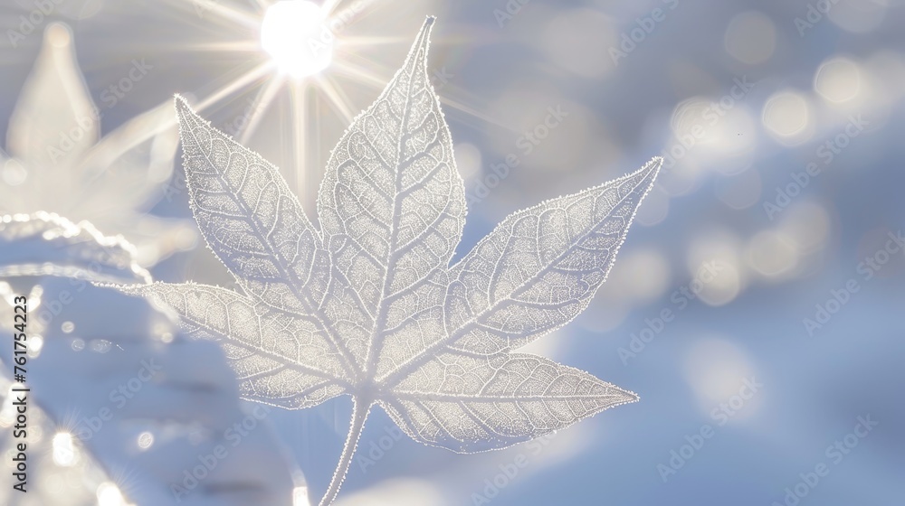 Poster white tree leaf skeleton texture background with shining light effect, perfect for design projects