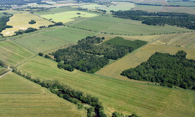 Friedländer Große Wiese 2016
