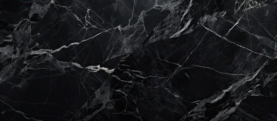 A close up of a black marble texture resembling a dark forest floor, with a combination of twig, wood, plant, and grass elements in monochrome photography style