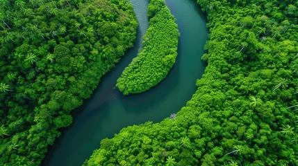 Papier Peint photo Vert Overhead shot of a winding river cutting through a dense, vibrant green forest, highlighting nature's intricate patterns. aerial view. Resplendent.
