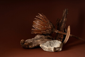 Podium for exhibitions and product presentations material stone wood branch. Beautiful brown background made of natural materials. Abstract nature scene with composition.