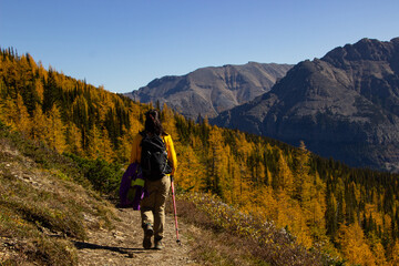 Woman hiker walking through the Rocky Mountains of Canada.