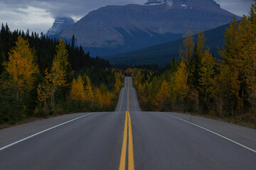 Beautiful straight road in Canada in autumn.