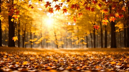 Golden-hued leaves softly drop in a sunlit forest atmosphere