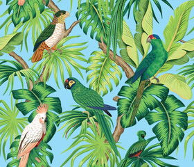 Tropical parrots, bird, green palm leaves floral seamless pattern blue background. Exotic jungle wallpaper.