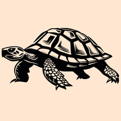 Black and White Turtle Outline Silhouette Ornament Vector Art for Logo and Icon, Sketch, Tattoo, Clip Art