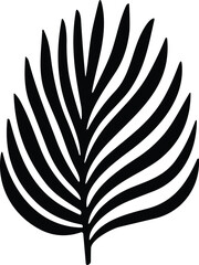 Palm leaves silhouette. Tropical leave vector. Tree leaf for decoration element for template