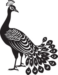 Fototapeta na wymiar Radiant Peacock Majesty Black Logo Design of Elegant Bird Icon Ethereal Plumage Splendor Large Peacock Emblem in Vector Black