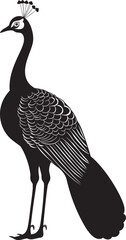 Ornate Splendor Large Peacock Vector Emblem in Black Radiant Avian Beautiful Peacock Black Logo Design Icon