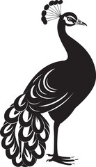 Majestic Grandeur Magnificent Peacock Emblem in Black Opulent Aura Hand Drawn Peacock Symbol in Black Vector