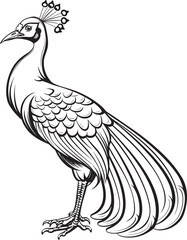Regal Charm Stunning Peacock Icon in Black Vector Majestic Plumes Magnificent Peacock Emblem in Black