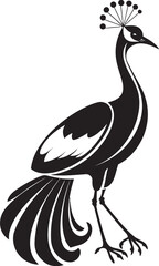 Vibrant Majesty Hand Drawn Peacock Symbol in Black Vector Majestic Charm Peacock Black Logo Design Icon