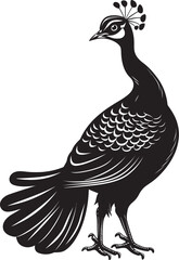 Enigmatic Majesty Peacock Black Logo Design Icon Graceful Plumes Large Peacock Vector Emblem in Black