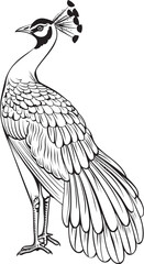 Regal Elegance Peacock Black Logo Design Icon Ornate Plumes Large Peacock Vector Emblem in Black