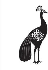 Regal Radiance Hand Drawn Peacock Symbol in Black Vector Majestic Beauty Peacock Black Logo Design Icon