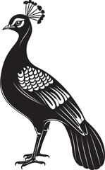 Regal Charm Stunning Peacock Icon in Black Vector Majestic Plumes Magnificent Peacock Emblem in Black