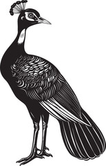 Vibrant Majesty Hand Drawn Peacock Symbol in Black Vector Phoenix Ascend Legendary Bird Vector Black Logo Design Icon