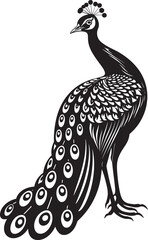 Enchanted Plumes Vector Icon of Stunning Peacock in Black Exquisite Feathered Aura Black Logo Design of Magnificent Peacock Icon