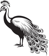 Divine Avian Majesty Vector Icon of Stunning Peacock in Black Resplendent Feathered Array Black Logo Design of Magnificent Peacock Icon