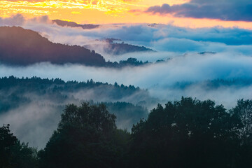 Wald und Nebel im Bayerischen Wald im Sonnenuntergang im Sommer - 761787448