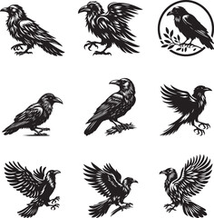 Raven silhouette vector illustration set