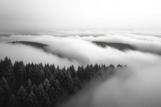 Minimalist Photography of Seascape. Black and White Landscape of Sea of Clouds over Foggy Forest