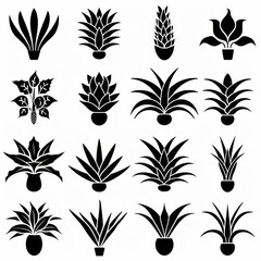 Bromeliad (Bromeliaceae genera) Pot Plant Icon Set, Bromeliaceae genera Plant Flat Design - obrazy, fototapety, plakaty