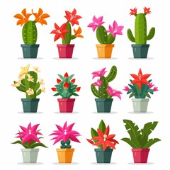 Christmas Cactus (Schlumbergera, Thanksgiving Cactus, Crab Cactus, Holiday Cactus) Pot Plant Icon Set