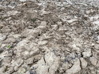 Terre grasse dans un champ