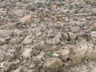 Terre grasse dans un champ