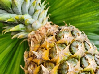 Pineapple on a green background.