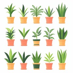Fototapeta na wymiar Dracaena Pot Plant Icon Set, Dracaena Plant Flat Design, Abstract Dracaena Symbol, Simple Pot Flower