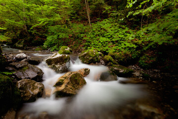 Cascade de haute Savoie 