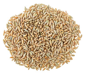 Pile of rye grains isolated on a white background, top view. - 761805272