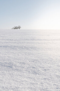 Verschneite Landschaft mit einem klaren Himmel und einer kleinen Gruppe von B&auml;umen am Horizont