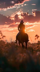 Woman riding horse in countryside during sunset