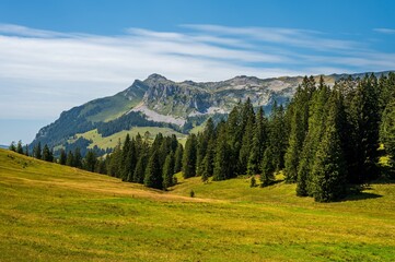 Fototapeta premium Landscape of the mountains, sky and forest in summer in Switzerland.