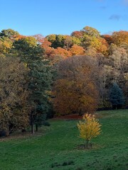 autumn in the park