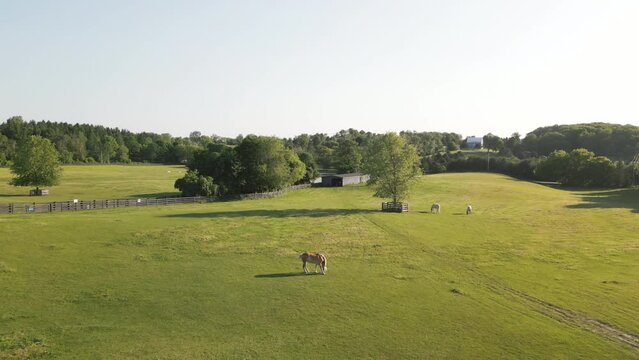 Aerial video over agricultural area and horse farm, King City Ontario