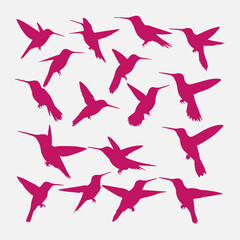 flat design hummingbird silhouette collection