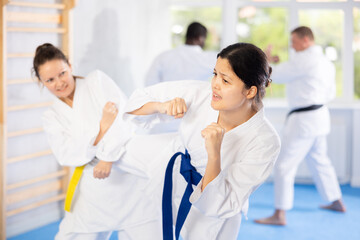 Adult women and young woman karatekas train karate in group in studio